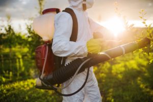 Para-acelerar-as-aprovações-defensivos-agrícolas-de-baixo-impacto-tem-prioridade
